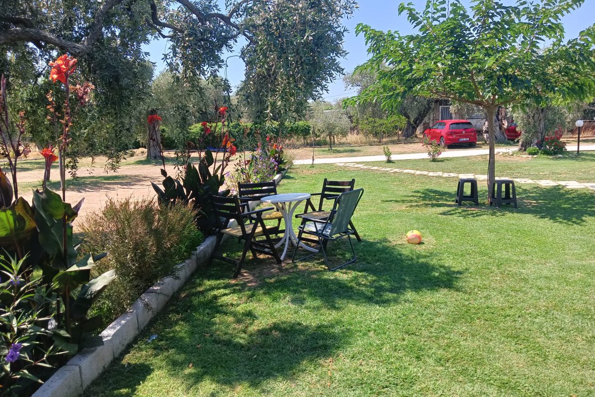 IMG20240717124345
