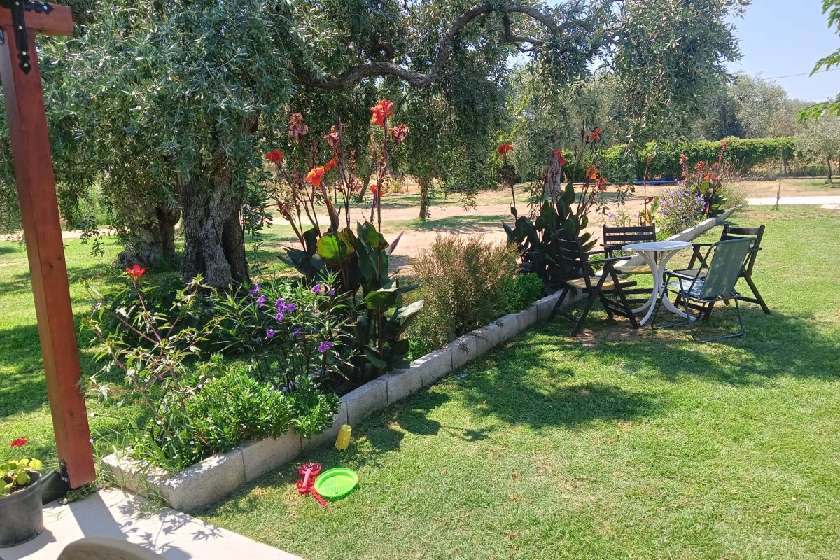 IMG20240717124357