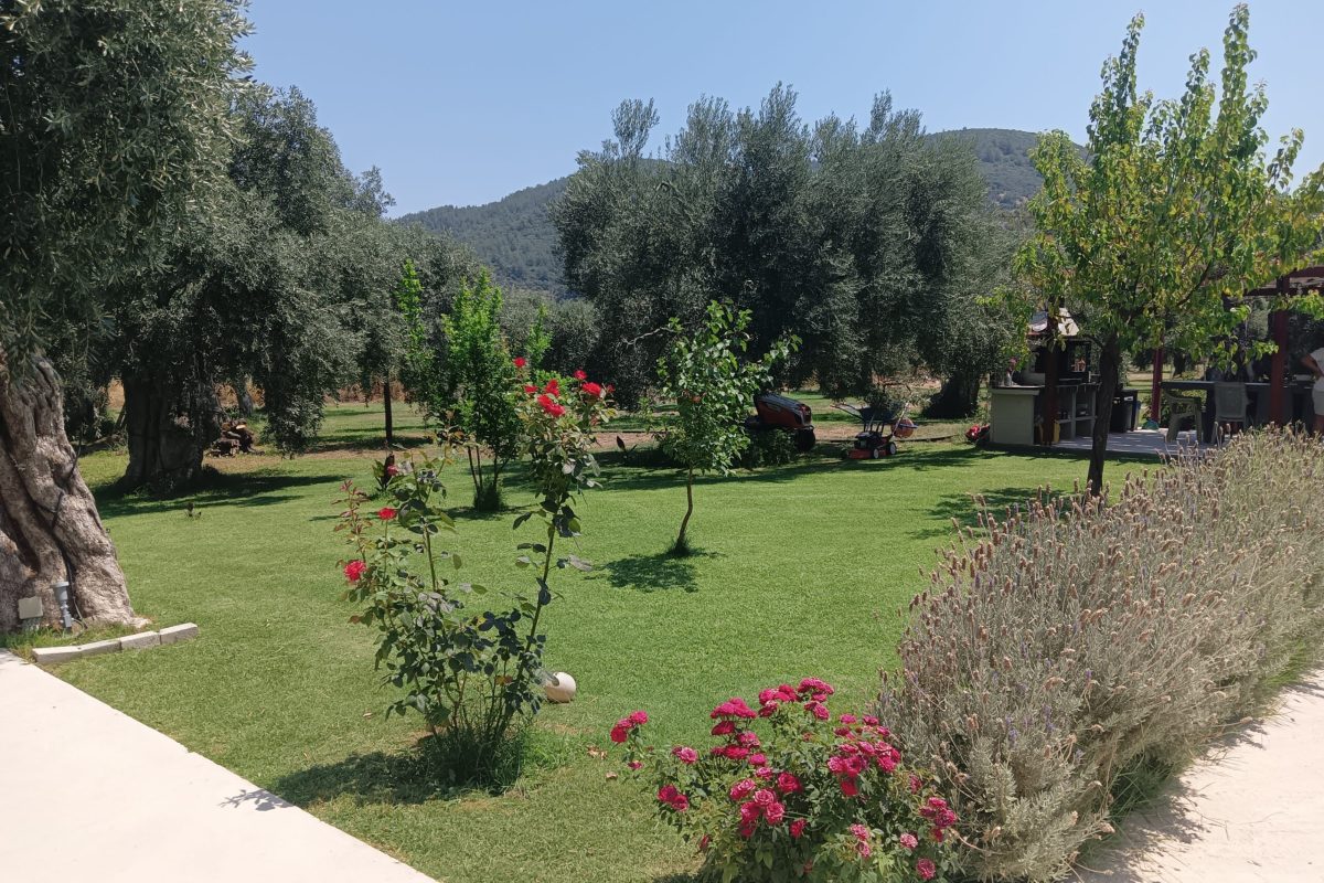 IMG20240717124551